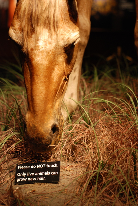 Do NOT touch
