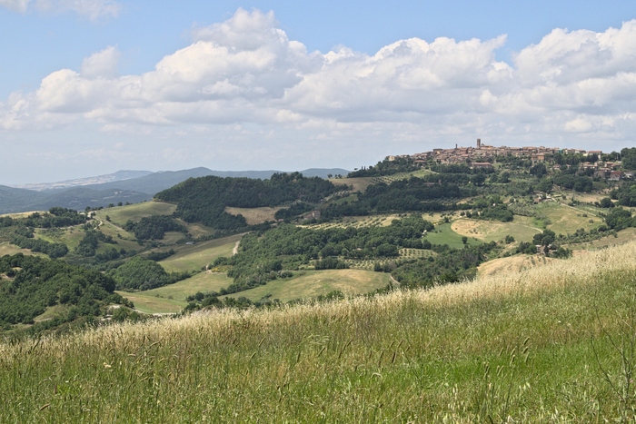 Tuscany Landscape