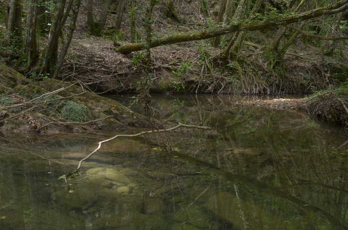 Water Reservoir