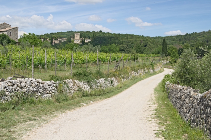 Vineyards