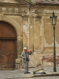 Violin Player in the Street