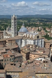 Cathedral of Siena