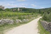 Vineyards