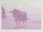 Rasterizer/cow