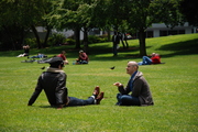 People in Park in San Francisco